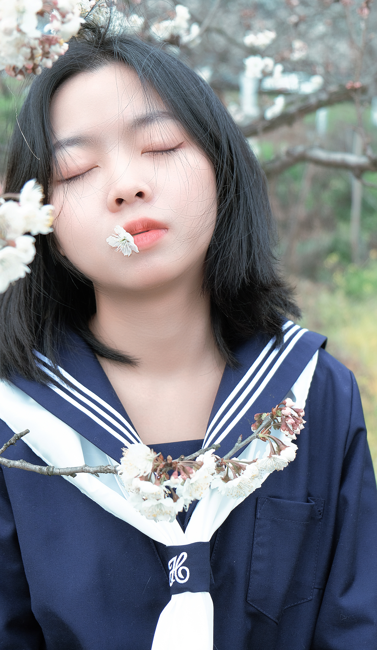 樱花之旅 我将用春天来怀恋你（图ZMjkyMjIyNjU2） - 人像摄影 - 站酷设计师芭月初原创素材 - 站酷ZCOOL