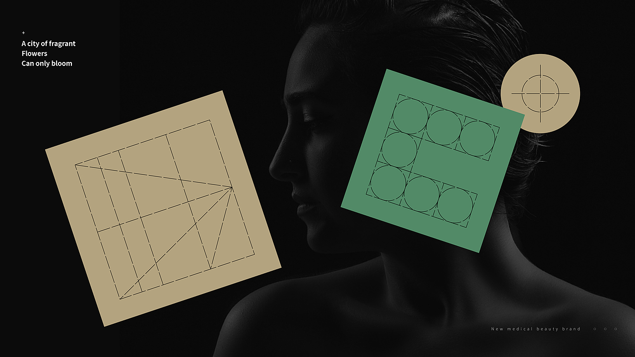 沈阳弘德抗衰医美品牌设计（图ZMjE1MjQ3NTE2） - 品牌 - 站酷设计师小林Pelin原创素材 - 站酷ZCOOL