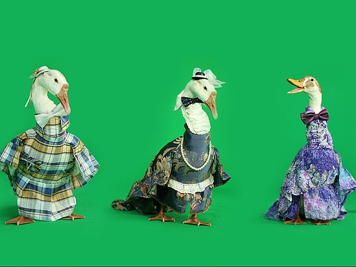 服装设计 | 动物服装设计与制作