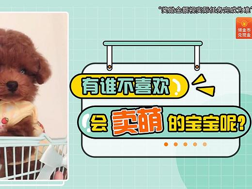 資訊類-信息流（個(gè)人主頁(yè)-ZNTg1NjQwMDQ=） - 海報(bào) - 站酷設(shè)計(jì)師時(shí)光淺笑而安原創(chuàng)素材 - 站酷ZCOOL