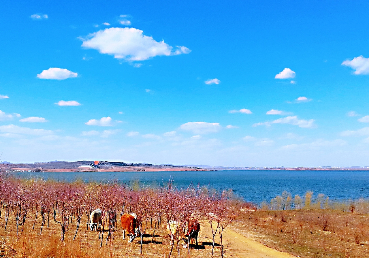 春天的九个瞬间
