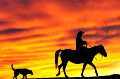 蒙古工作室的个人主页（背景预览） - 主页背景设置 - 站酷设计师蒙古工作室原创素材 - 站酷ZCOOL