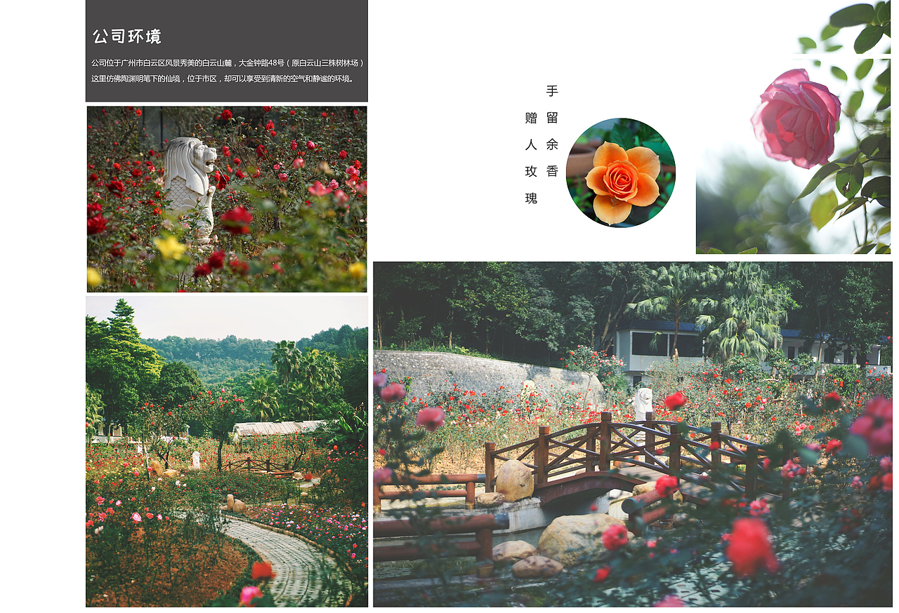 宣传画册（图ZMTIzODE1NjQ0） - 书籍/画册 - 站酷设计师liaochen555原创素材 - 站酷ZCOOL