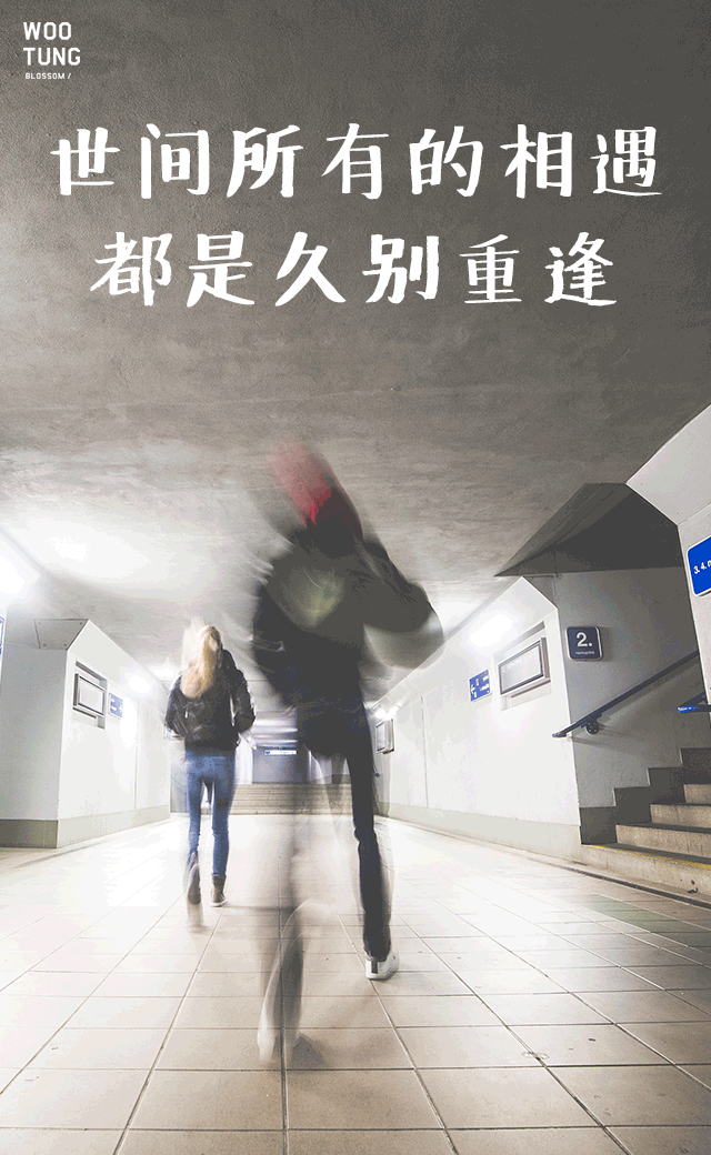 梧桐生 微信H5招聘海报（图ZNjI4NDkyNjQ=） - 海报 - 站酷设计师Vincccent原创素材 - 站酷ZCOOL