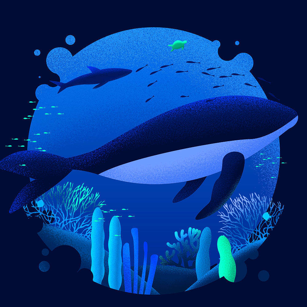 海洋风格插画设计