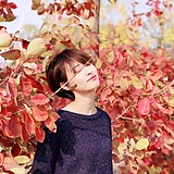 lidandan026的头像
