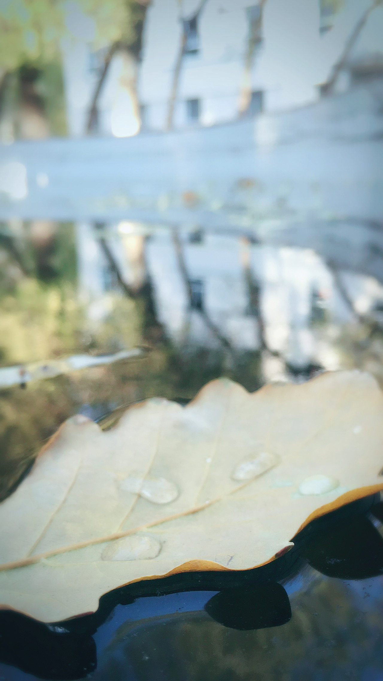 大美伊犁（圖ZMTExOTA5NTU2） - 環(huán)境/建筑攝影 - 站酷設(shè)計(jì)師白冥大人原創(chuàng)素材 - 站酷ZCOOL