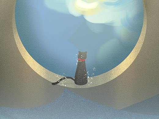 神殿门口的猫