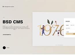 羽绒服类目波司登