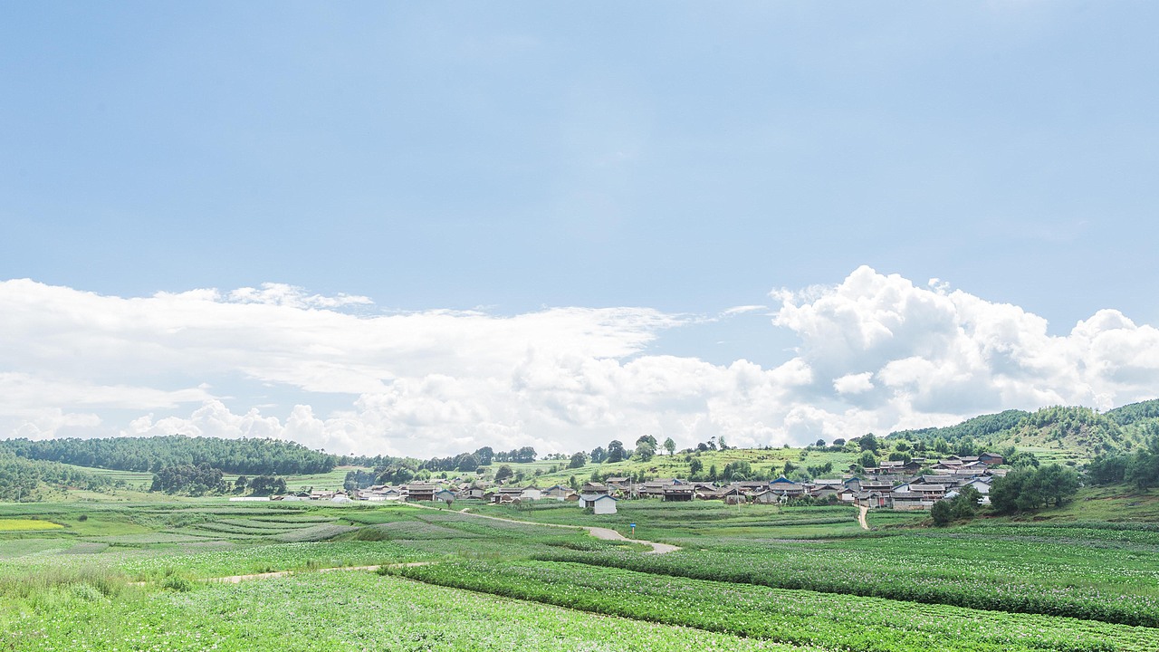 南溪村探寻记（图ZOTE1NDY1MjA=） - 短片 - 站酷设计师楦梓原创素材 - 站酷ZCOOL