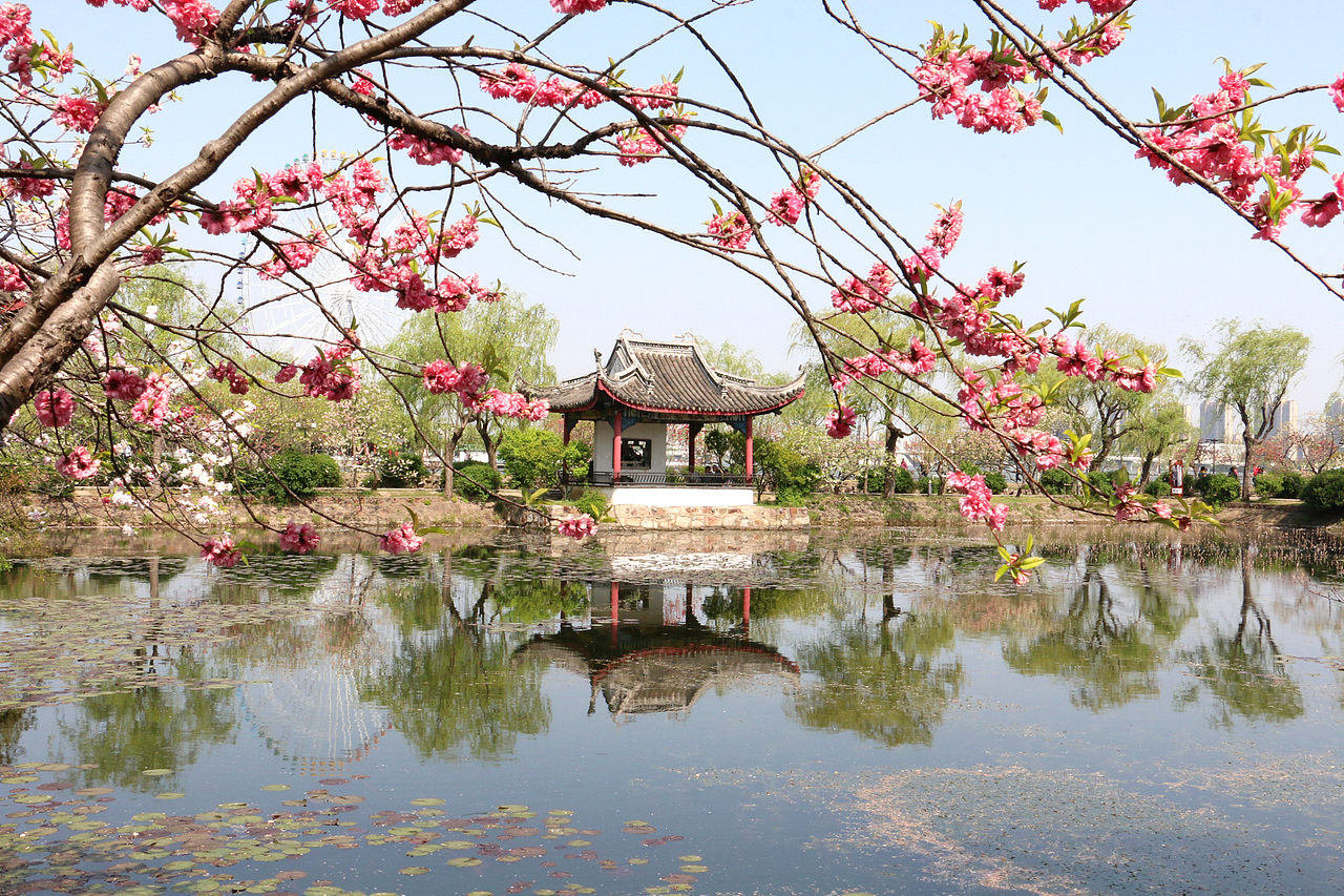 零落几缕桃花点醒一湖春水