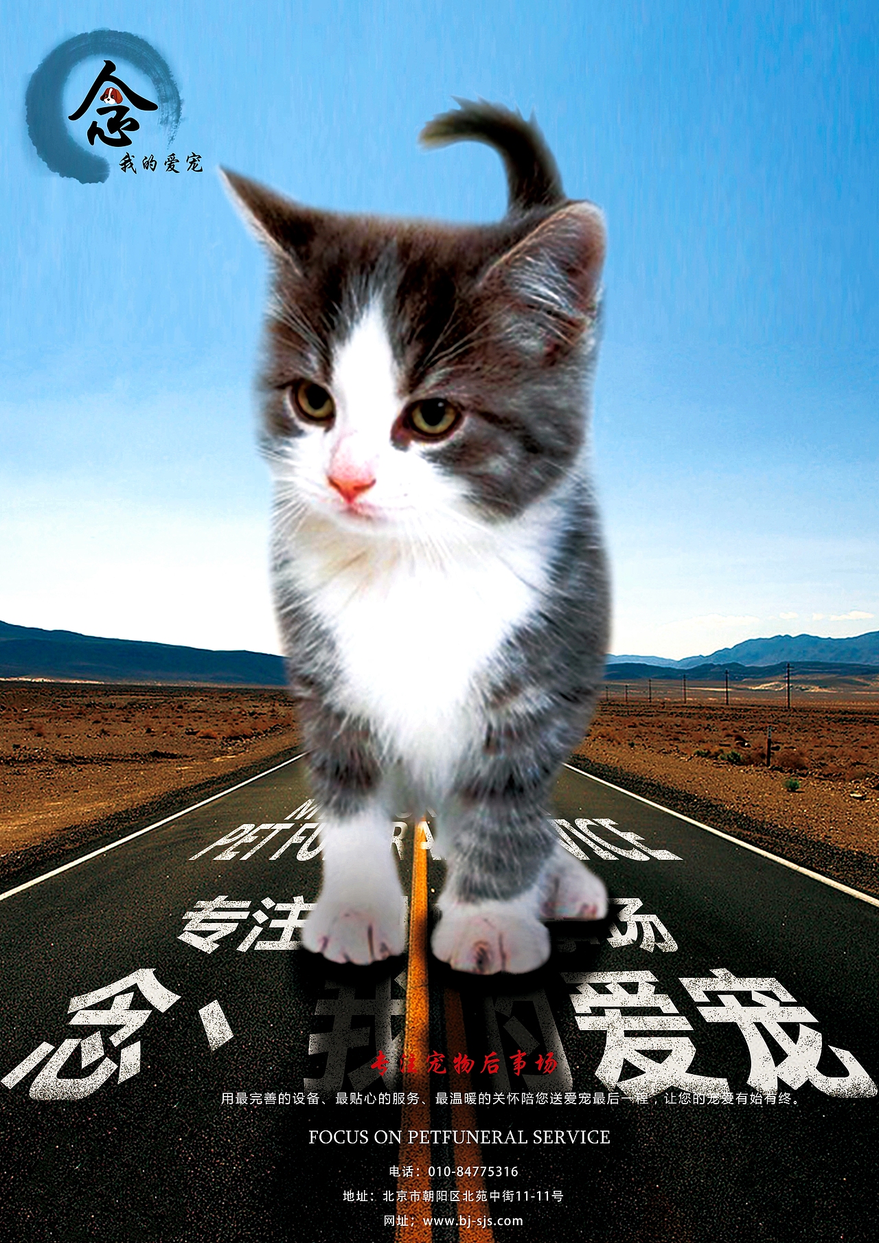 作品总结（图ZODY4MjU2MDQ=） - 宣传物料 - 站酷设计师hjp118830原创素材 - 站酷ZCOOL