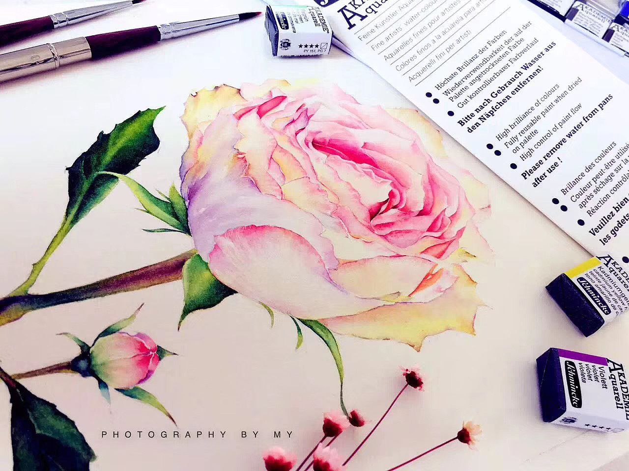 明小花一组招牌水彩花卉玫瑰系~