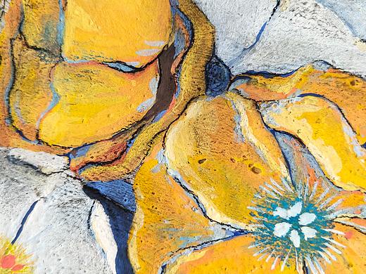 【花的世界】-The World Of The Flowers（个人主页-ZNTU0NDI3MDg=） - 创作习作 - 站酷设计师王大霜AS2O3原创素材 - 站酷ZCOOL