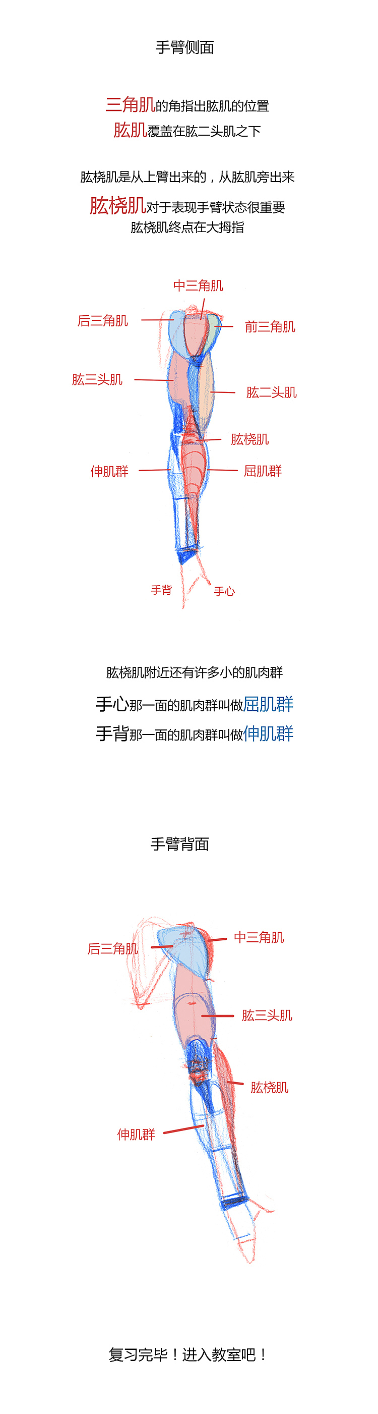 【春哥课堂】腿部结构到底怎么画?有彩蛋