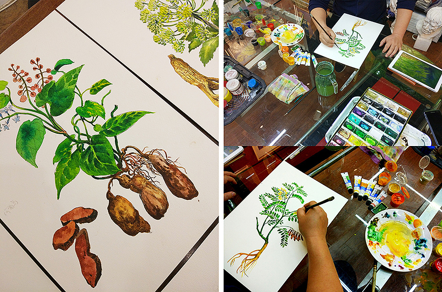 中裕 草药插画包装设计（图ZMTQyNDU1ODE2） - 包装 - 站酷设计师龍大设计原创素材 - 站酷ZCOOL