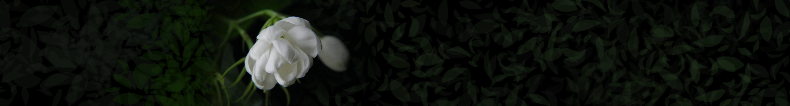 莹睿设计工作室的个人主页（封面预览） - 主页封面设置 - 站酷设计师莹睿设计工作室原创素材 - 站酷ZCOOL