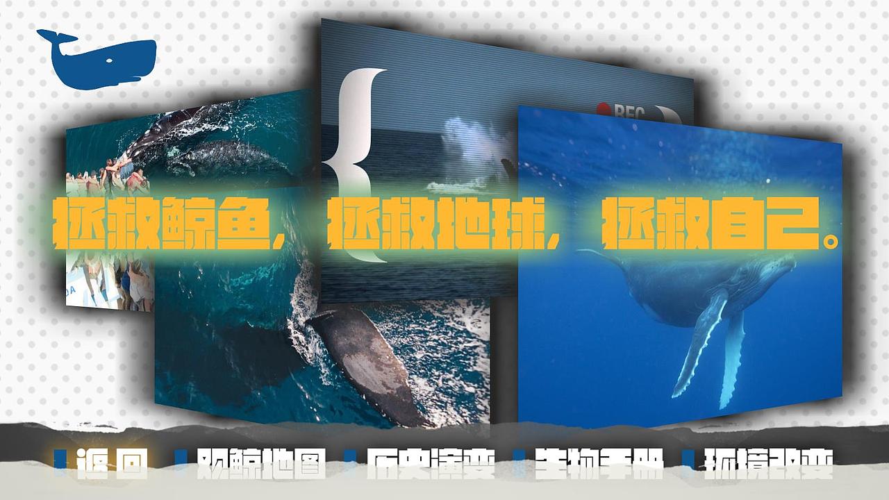 【Ventuz】《鲸》简单交互展示（图ZMjQzNzcwNzUy） - 其他 - 站酷设计师我的床矮了10cm原创素材 - 站酷ZCOOL