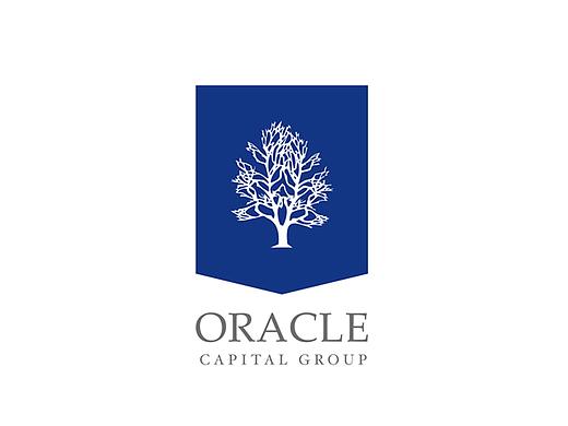 oracle甲骨文伦敦地产类画册(3套）