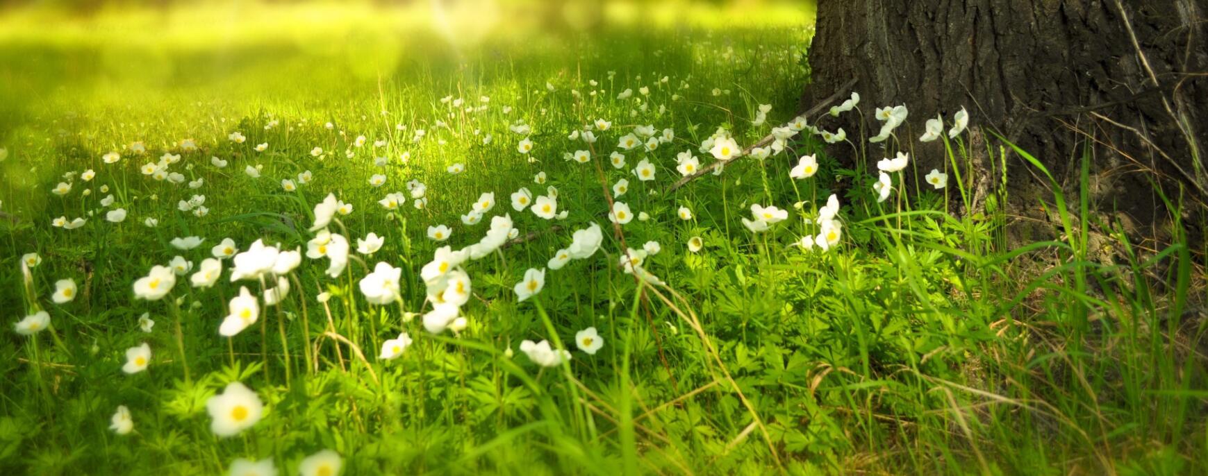 铁板土豆片哇的个人主页（背景预览） - 主页背景设置 - 站酷设计师铁板土豆片哇原创素材 - 站酷ZCOOL