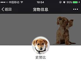 防宠物走失应用设想