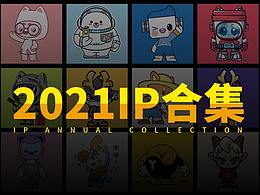 Ip设计