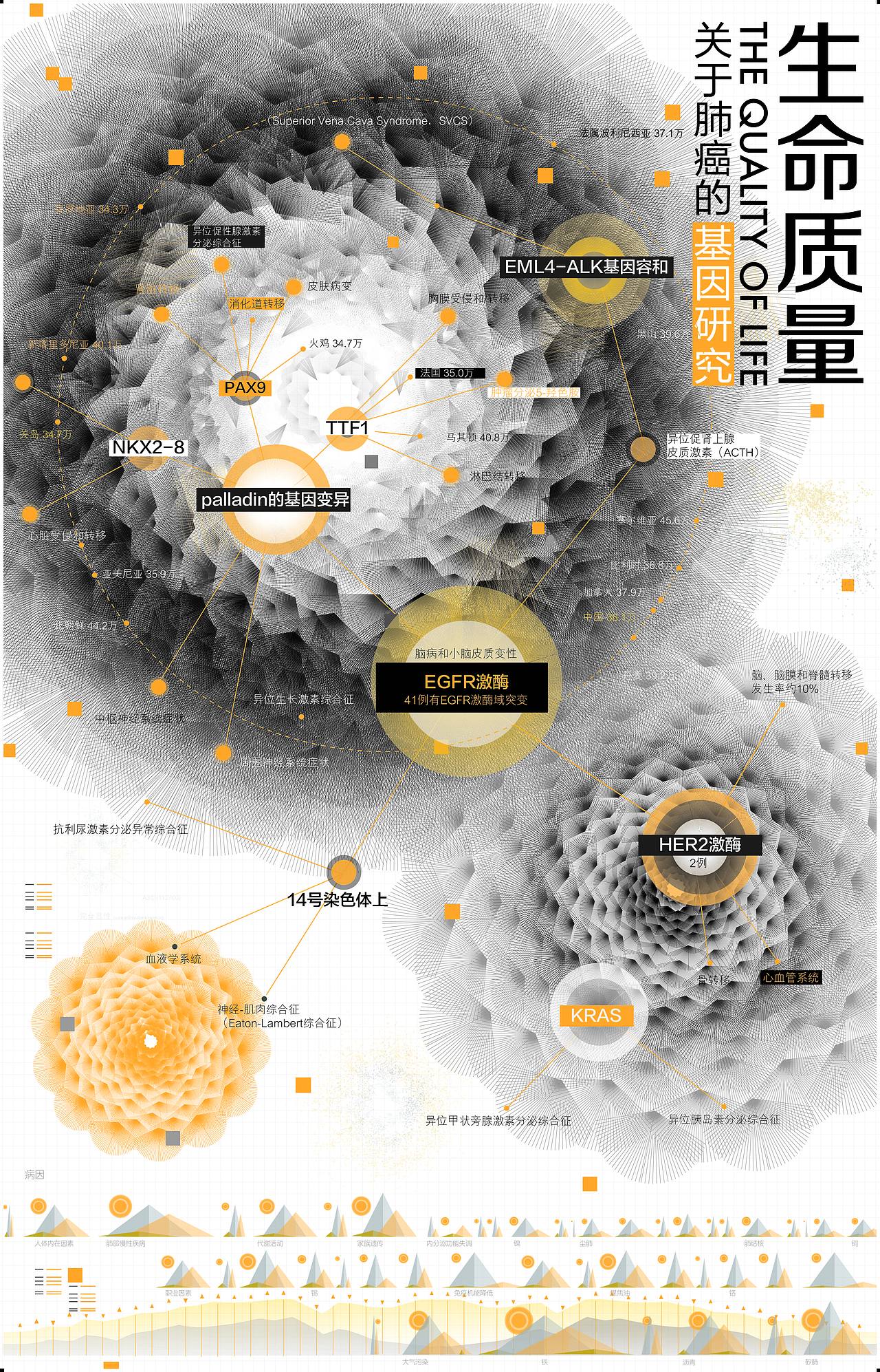 生命质量（图ZMTM1NTA2MDA0） - 信息图表 - 站酷设计师平小仙儿原创素材 - 站酷ZCOOL