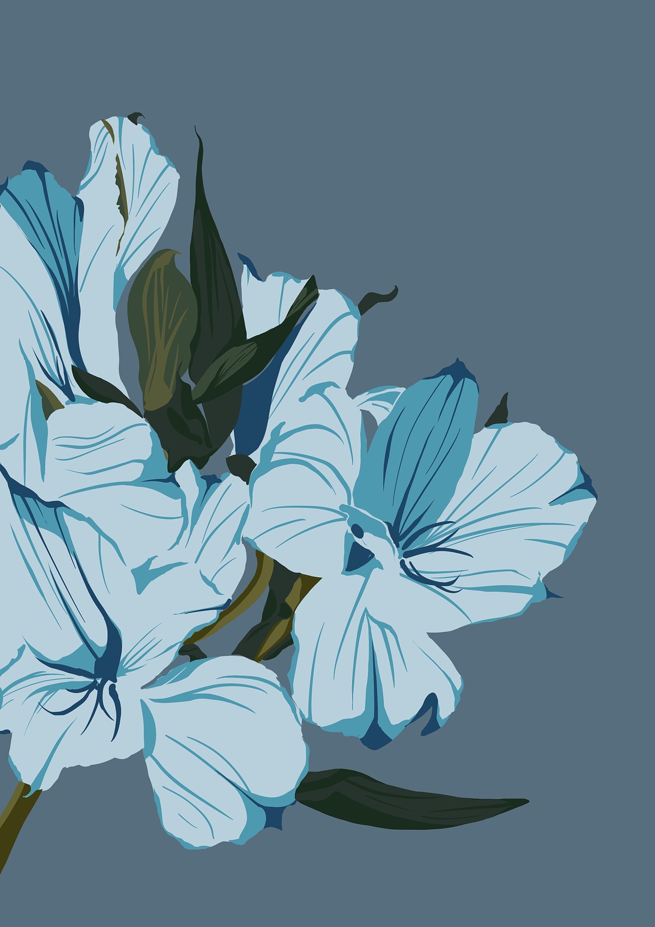 花卉系列扁平插画|插画|创作习作|维子酱vivian_ - 原创作品 - 站酷