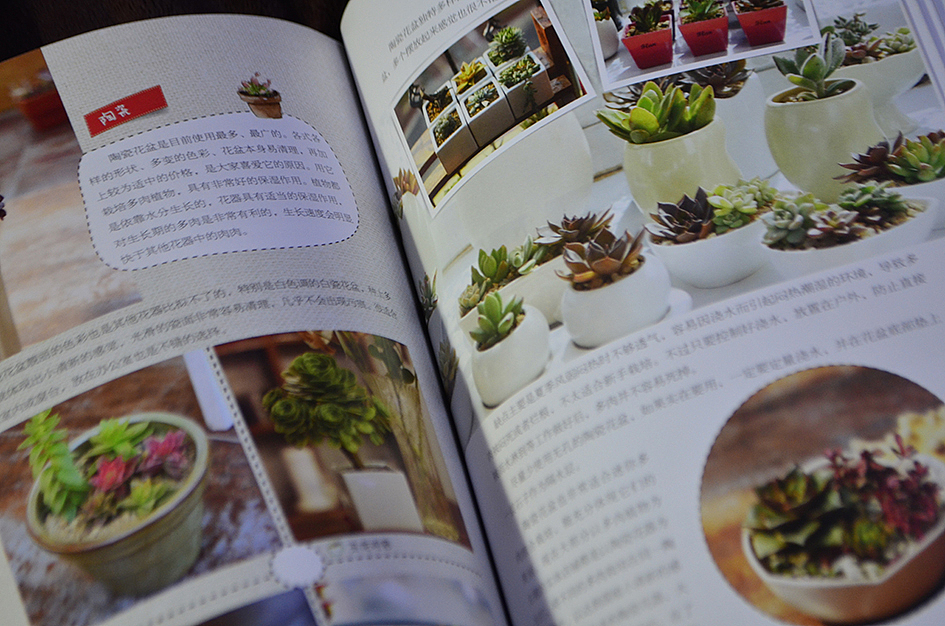 新做的书，和二木一起玩多肉（图ZMTAyOTA3NTY=） - 书籍/画册 - 站酷设计师丫丫Design原创素材 - 站酷ZCOOL