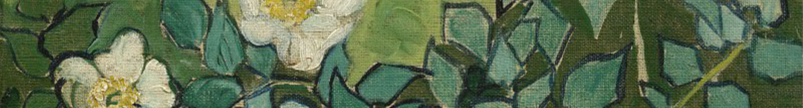 別放棄治療的個人主頁（封面預覽） - 主頁封面設置 - 站酷設計師別放棄治療原創(chuàng)素材 - 站酷ZCOOL