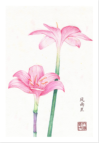 创作——花卉2（图ZMjc3MjE4NzI=） - 商业插画 - 站酷设计师冰盐_Ybin原创素材 - 站酷ZCOOL