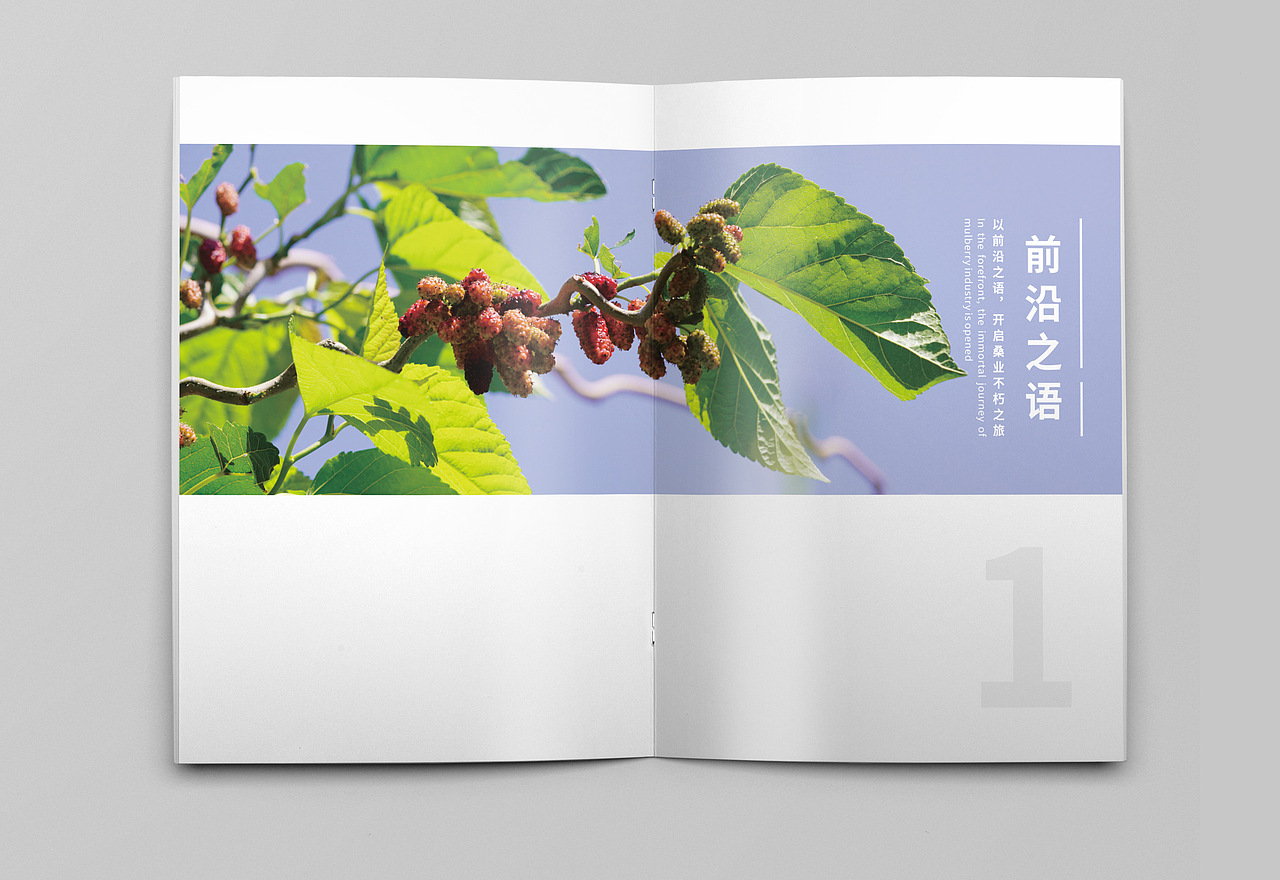 惟桑 农业画册（图ZMjgxNDA5Mzg0） - 书籍/画册 - 站酷设计师不救l原创素材 - 站酷ZCOOL