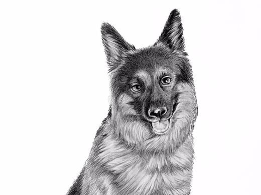 虎子（个人主页-ZMjQ4Nzk3NDA=） - 绘画 - 站酷设计师闲闲的DUSK原创素材 - 站酷ZCOOL