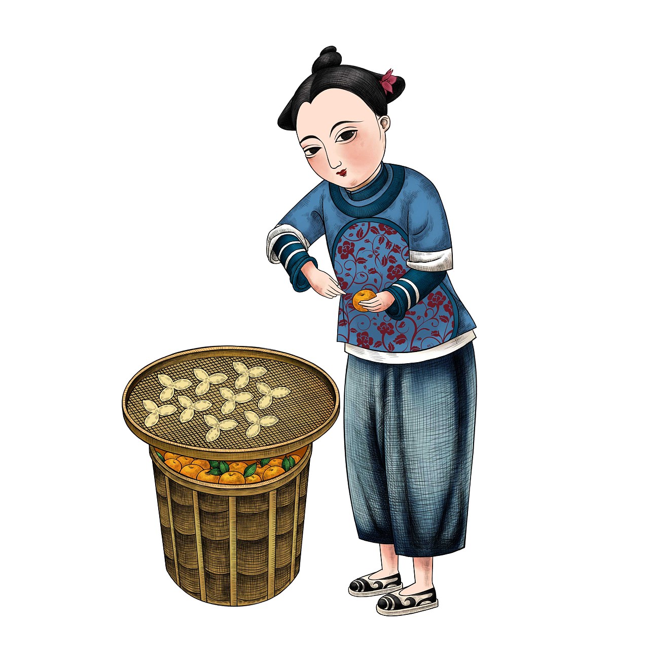 产品插画陈皮制作工序彩色素描