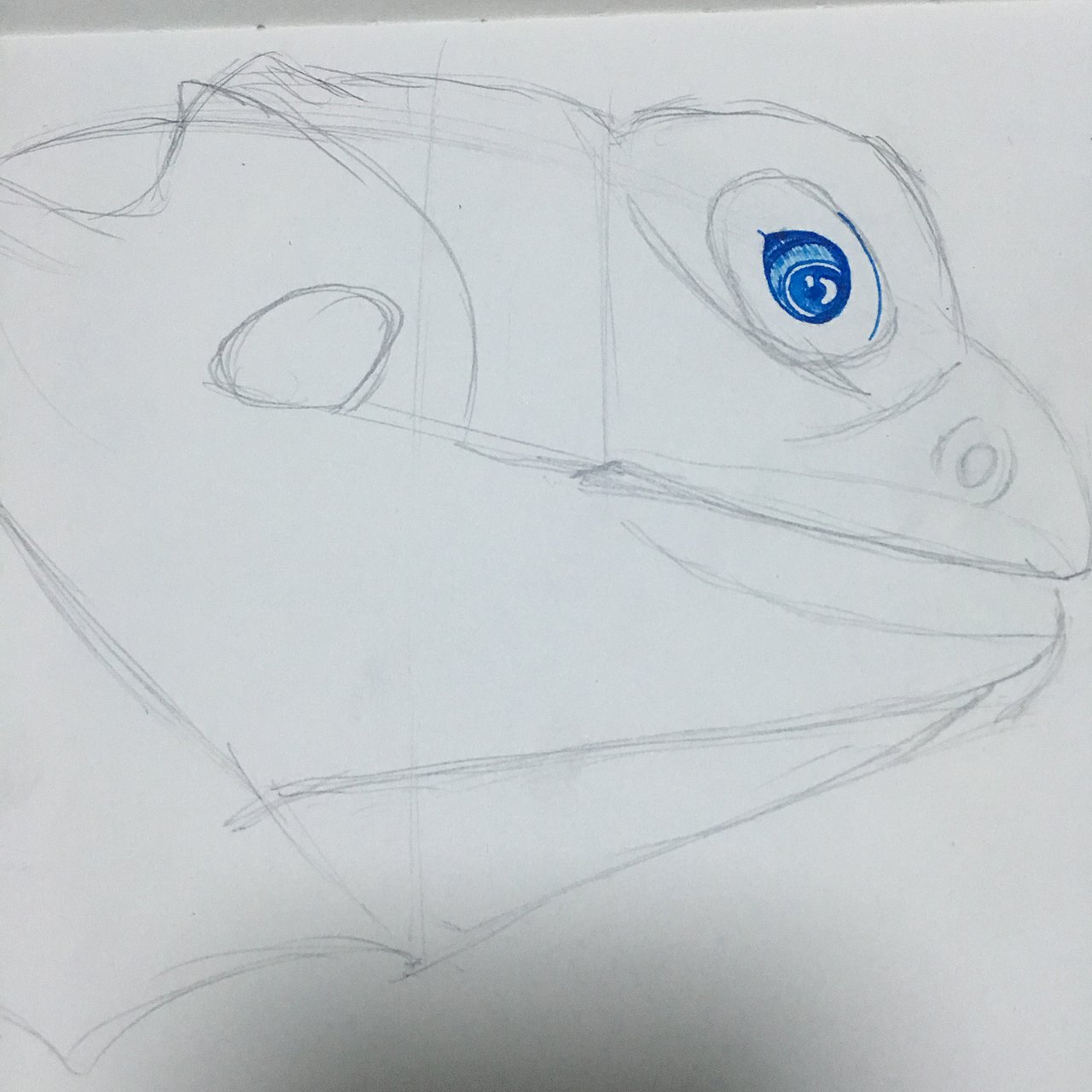 钢笔手绘——鬃狮蜥