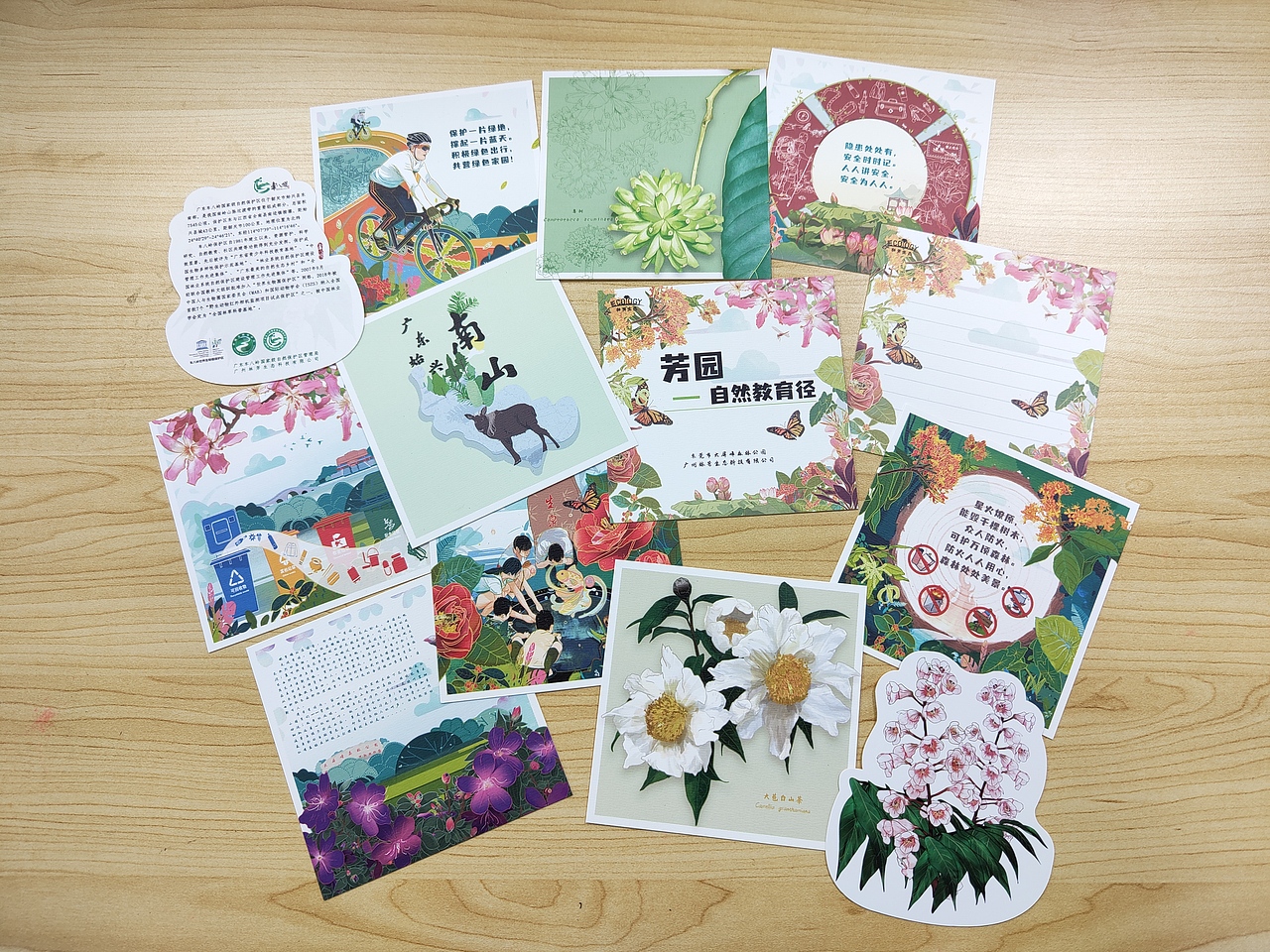 插画文创周边——植物篇（图ZMzAzODk0OTk2） - 品牌 - 站酷设计师懒九五原创素材 - 站酷ZCOOL