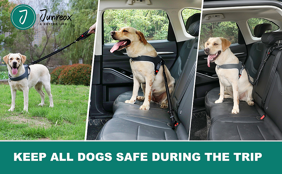 车载牵引绳拍摄亚马逊跨境电商主图设计产品摄影视频制