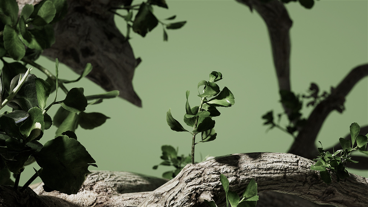 三维动态 | 猫王音箱动画