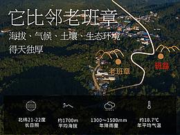 2021下半年的一些普洱茶頁面