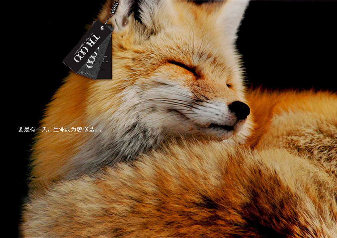 公益海报（图ZMzc3NTQxNTY=） - 海报 - 站酷设计师炭笔粗细原创素材 - 站酷ZCOOL