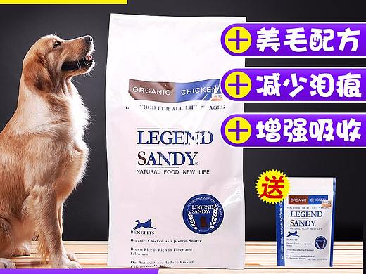 狗粮主图直通车