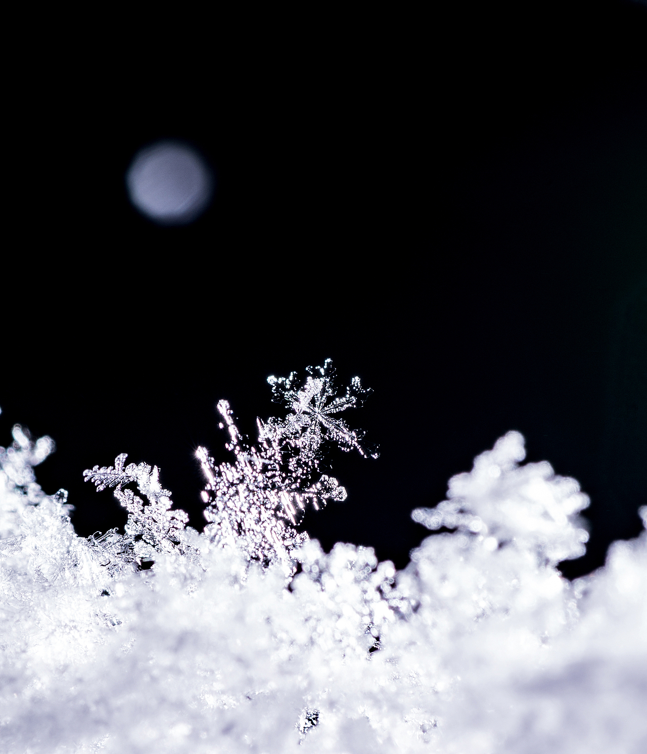 微观世界看雪花