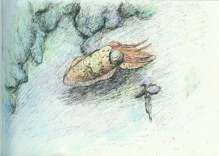 二维动画分镜头 手绘（图ZNDU3ODUyMzI=） - 商业插画 - 站酷设计师一米阳光0920原创素材 - 站酷ZCOOL