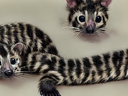 #AI创作实验室#两只狸猫