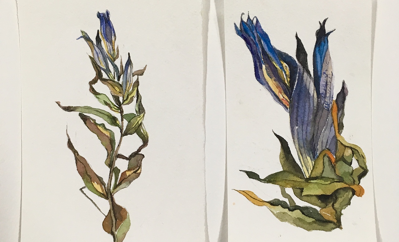 小插图（图ZMTEyNjY3MDAw） - 概念设定 - 站酷设计师儿童插画师原创素材 - 站酷ZCOOL