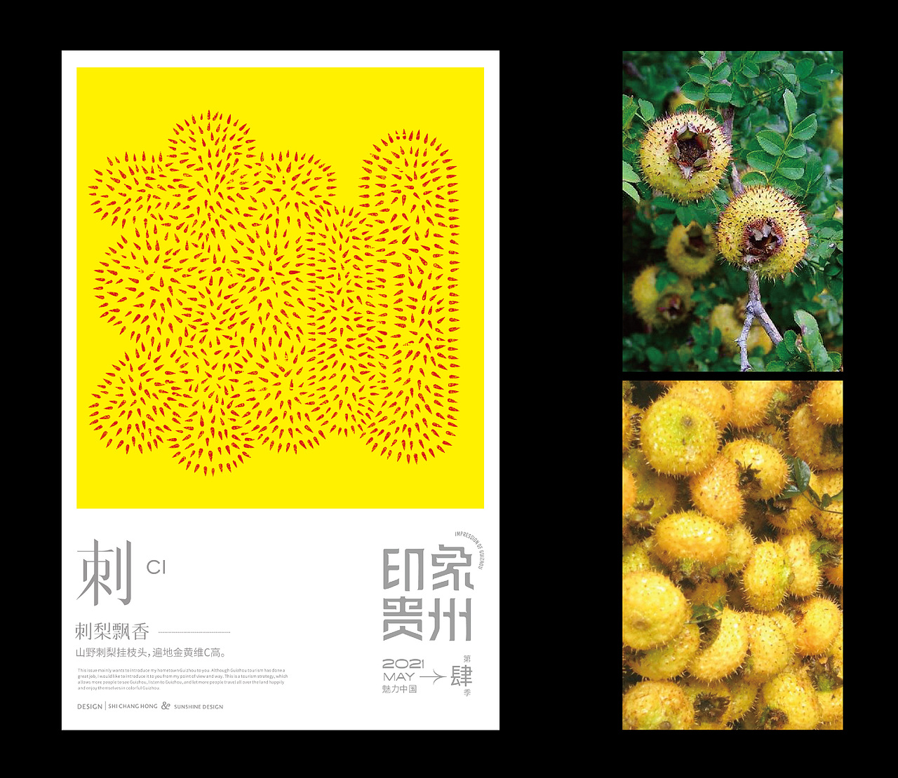 刺:刺梨飘香 -------- 山野刺梨挂枝头、遍地黄金维C高