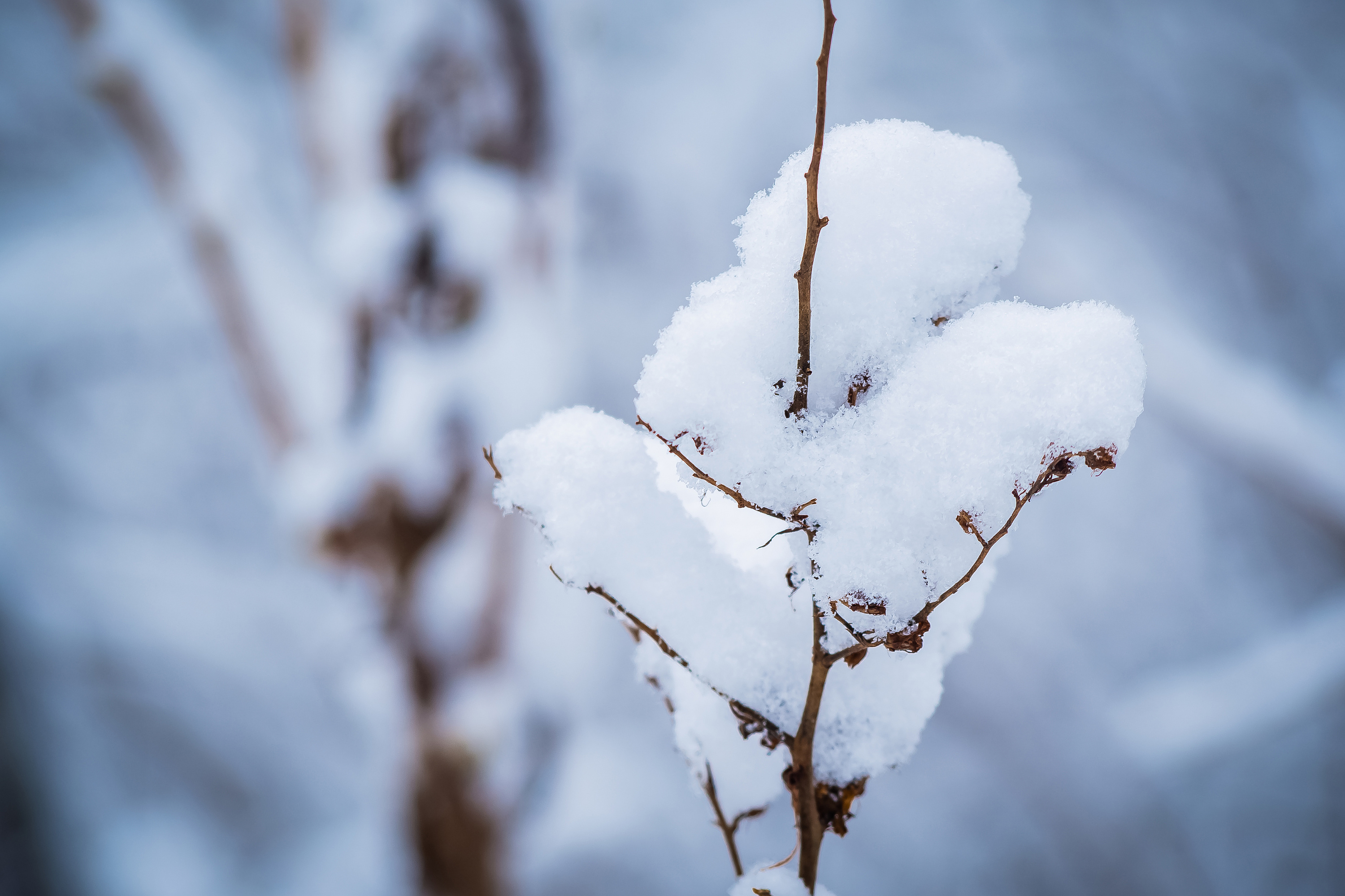 边外林场雪景高清图