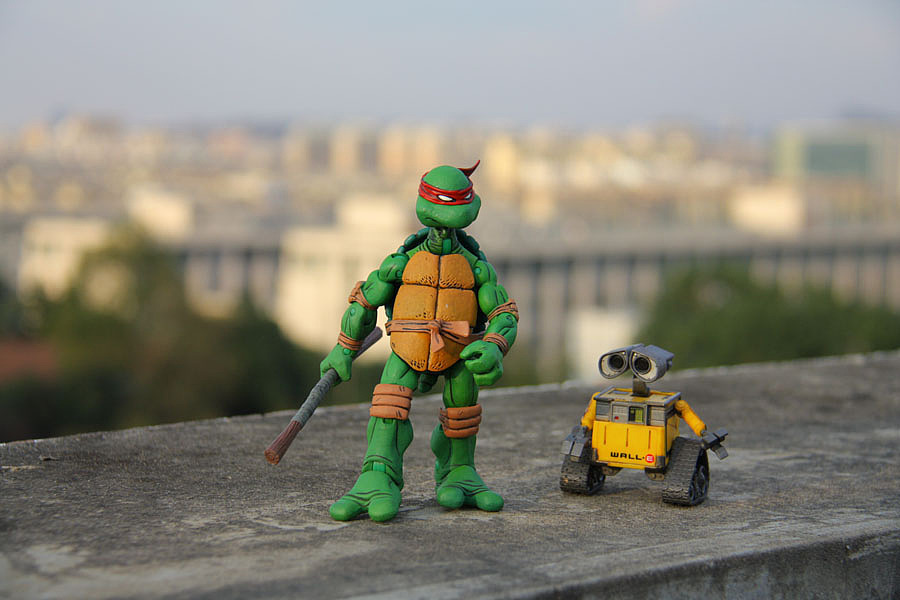 秋日午后 Donatello fratin' WALL-E