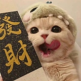油焖小虾米的头像