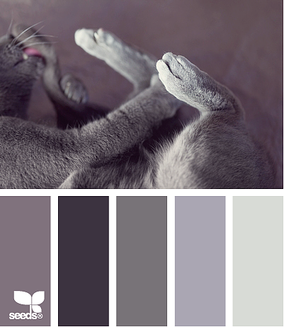 网页实物配色——灰白系（图ZMTQ5MzU5ODAw） - 其他网页 - 站酷设计师CoolerUX原创素材 - 站酷ZCOOL